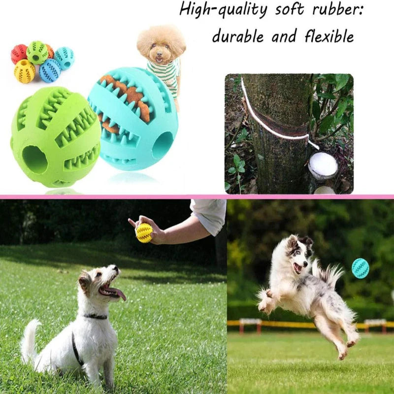 Interactive Pet Rubber Balls Dog Toy Puppy Chew Toys Teeth Cleaning Ball Treat